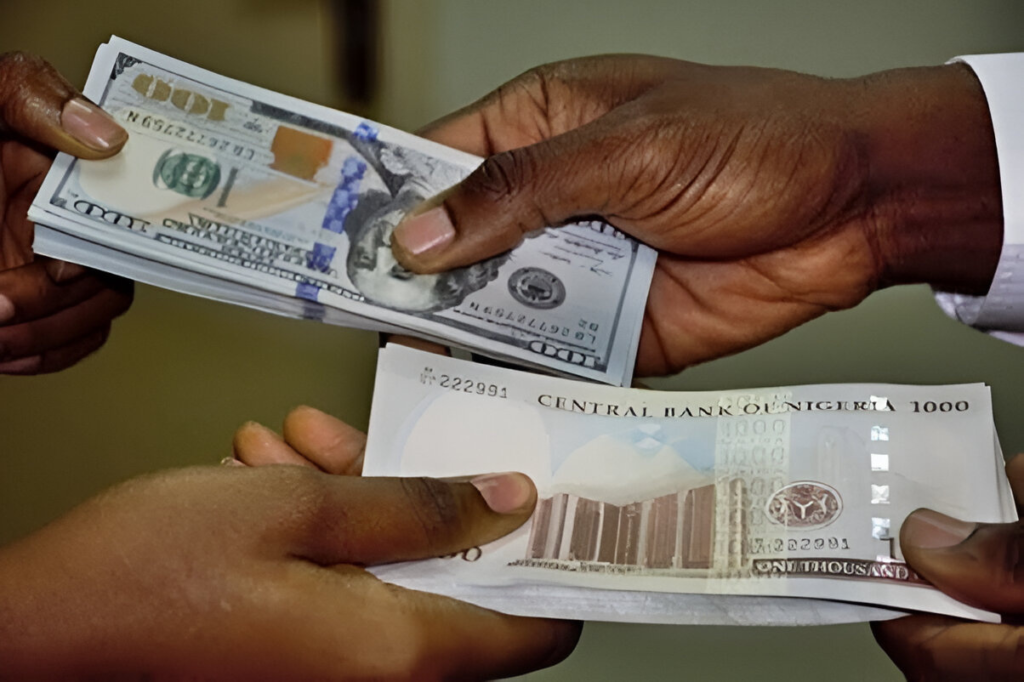 Build Dollar Savings Alongside Naira